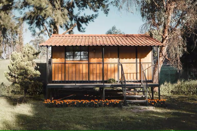 cabañas-lago-de-xochimilco-cdmx