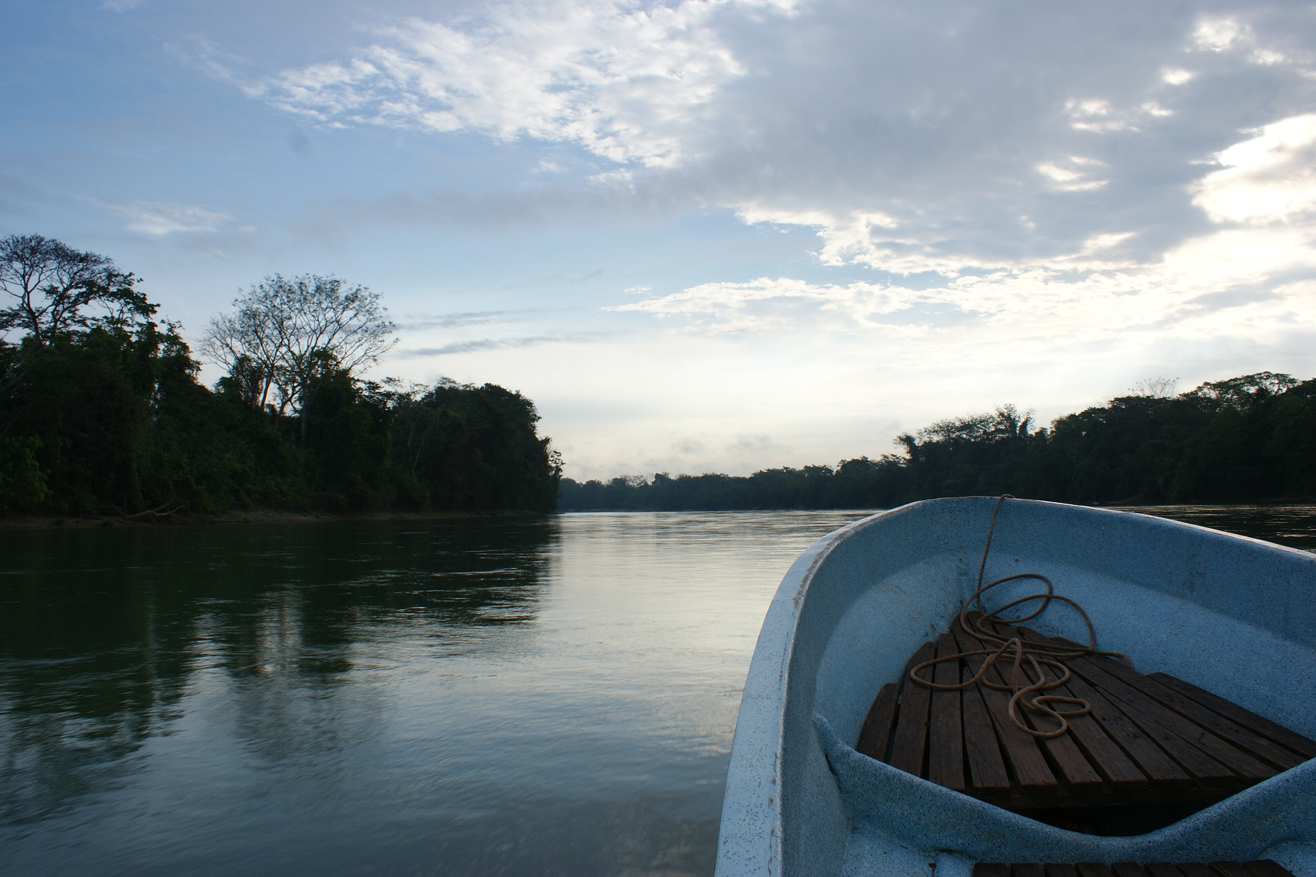 chiapas reserva de la biosfera montes azules