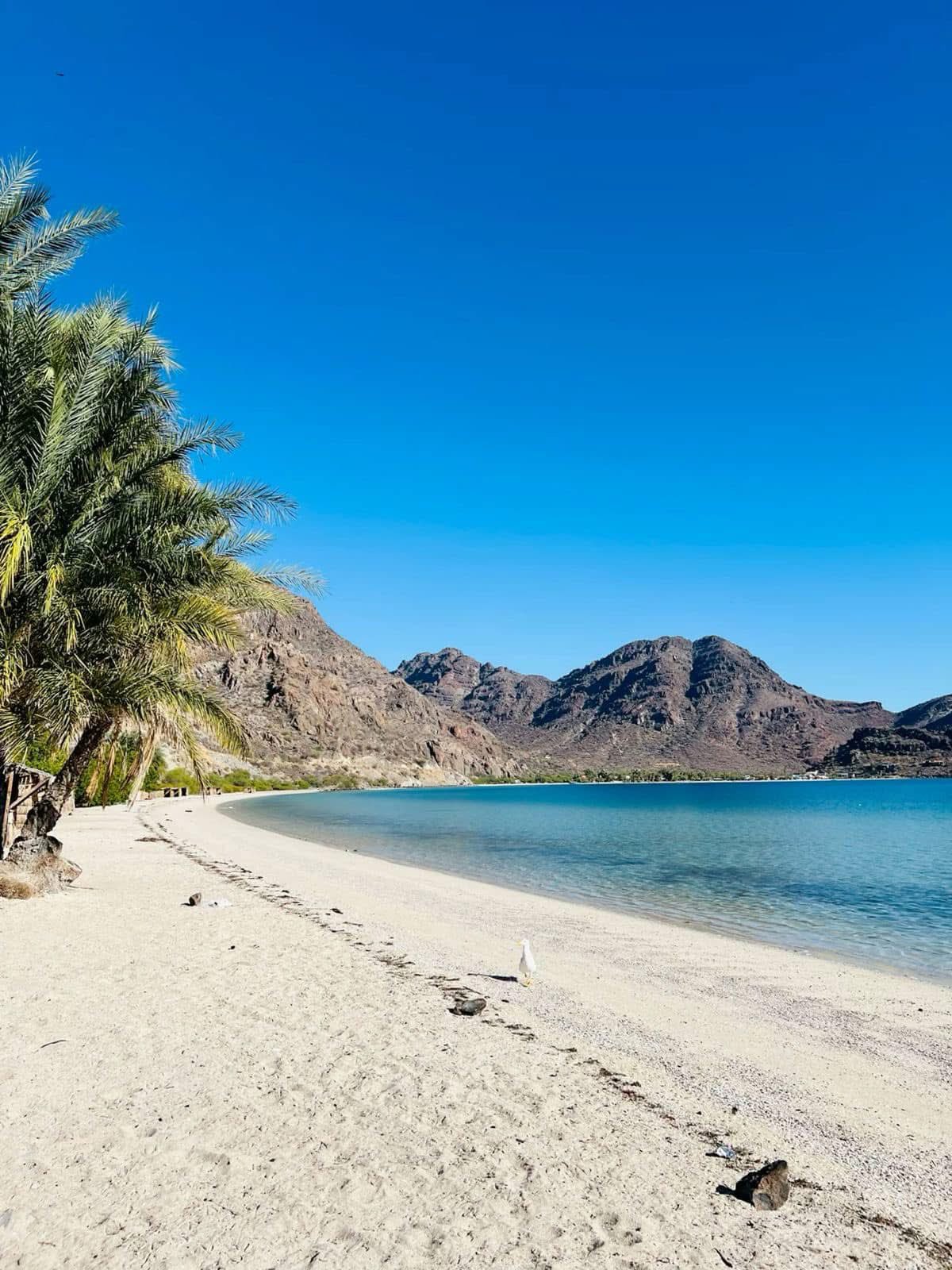 historia de mulegé baja california sur