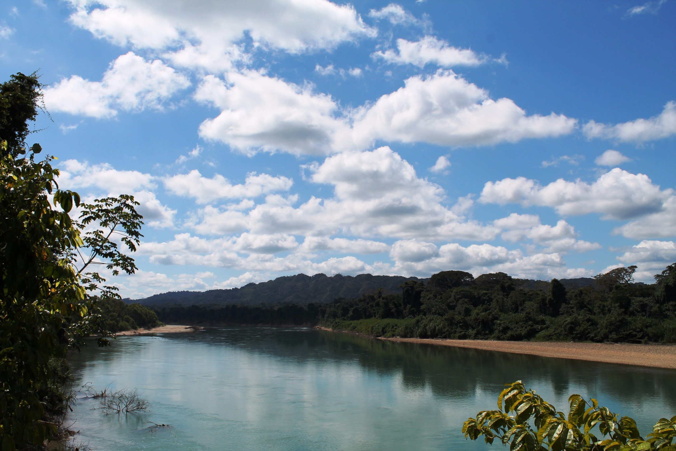 méxico reserva de la biosfera montes azules