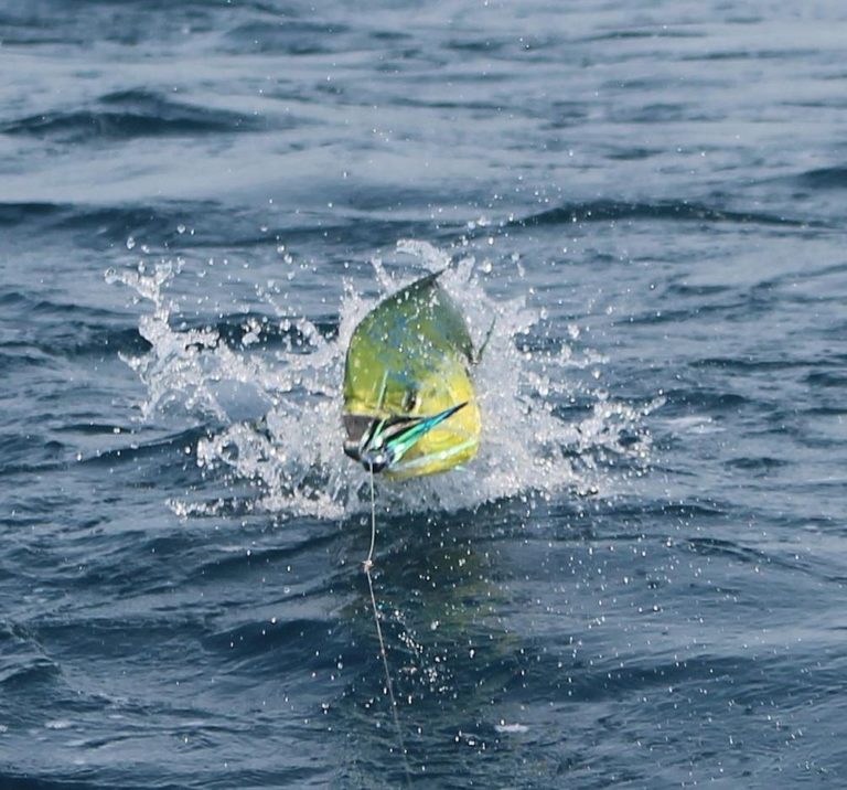 pesca-deportiva-colima