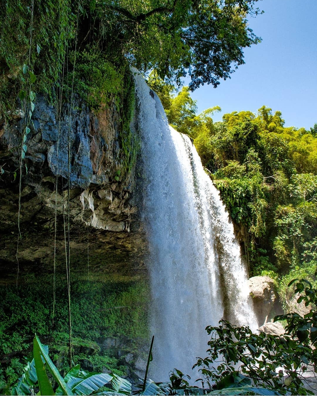 plan de guinea sierra de puebla