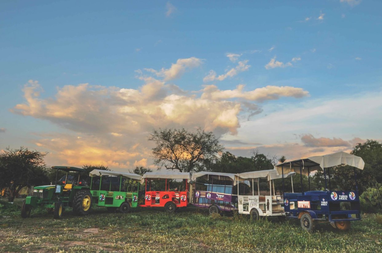 real de asientos aguascalientes el piojito