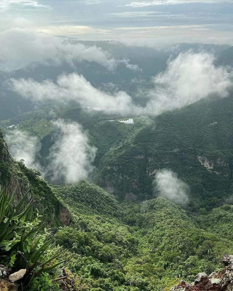 reserva de la biósfera barranca de metztitlán actividades