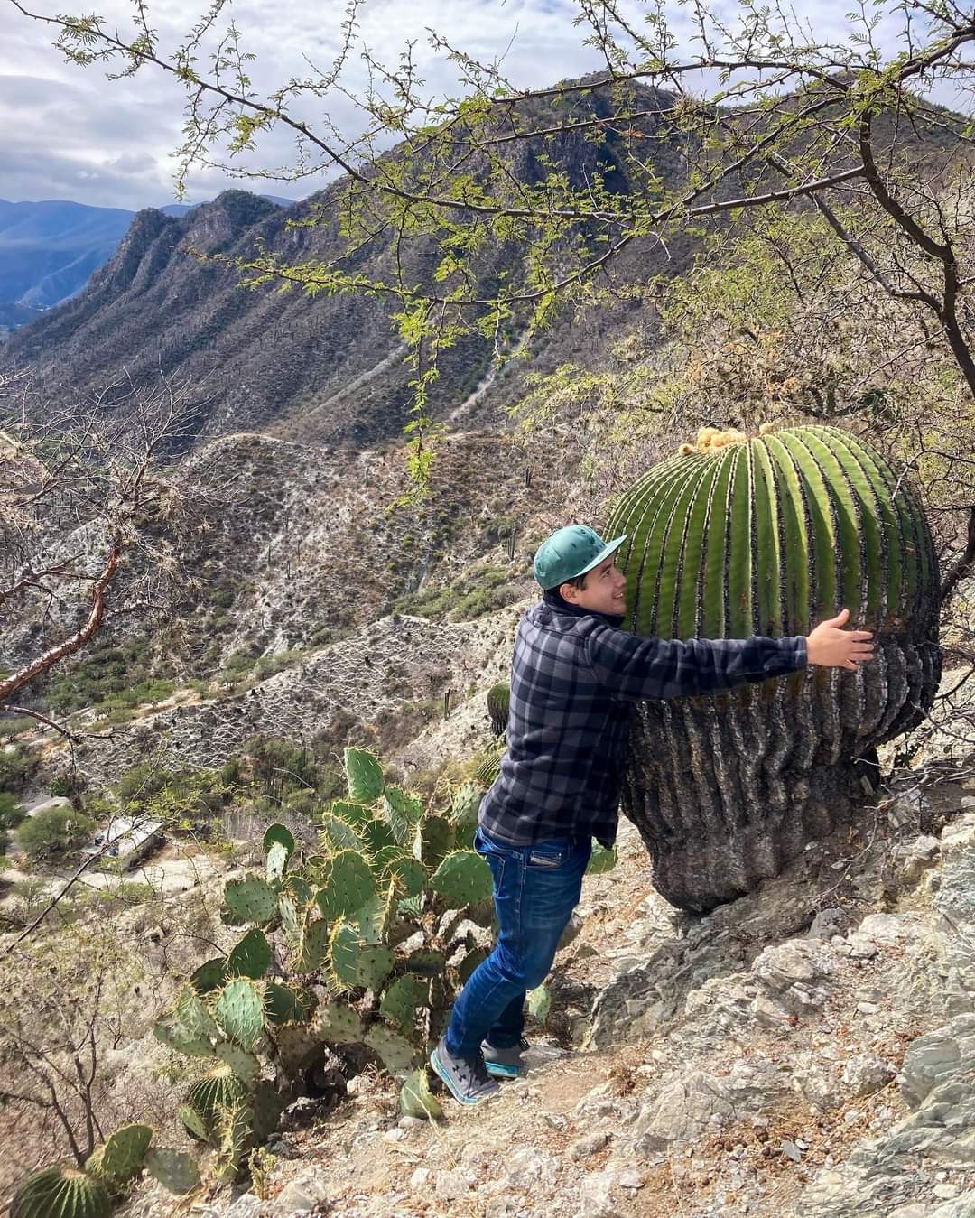 reserva de la biósfera barranca de metztitlán cactus