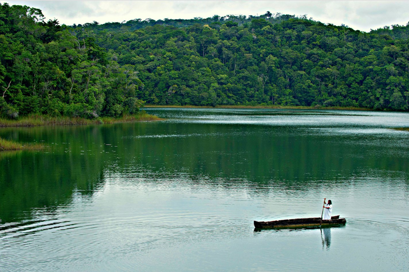 reserva de la biosfera montes azules actividades