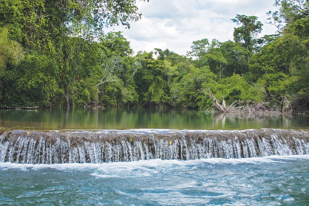 reserva de la biosfera montes azules chiapas