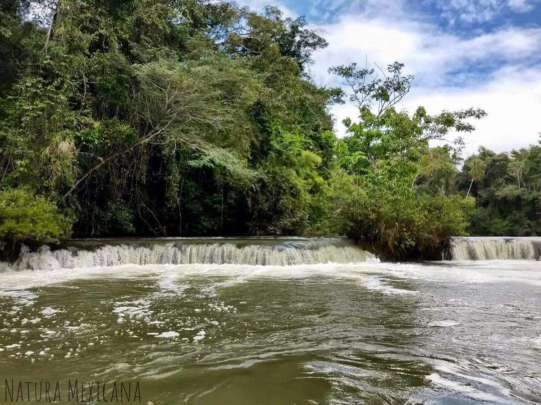 reserva de la biosfera montes azules méxico