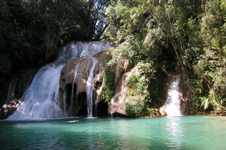 Reserva de la Biósfera Montes Azules: un lugar perfecto para practicar ecoturismo