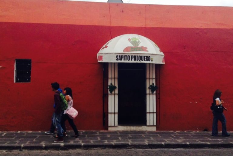 sapito-pulquero-puebla