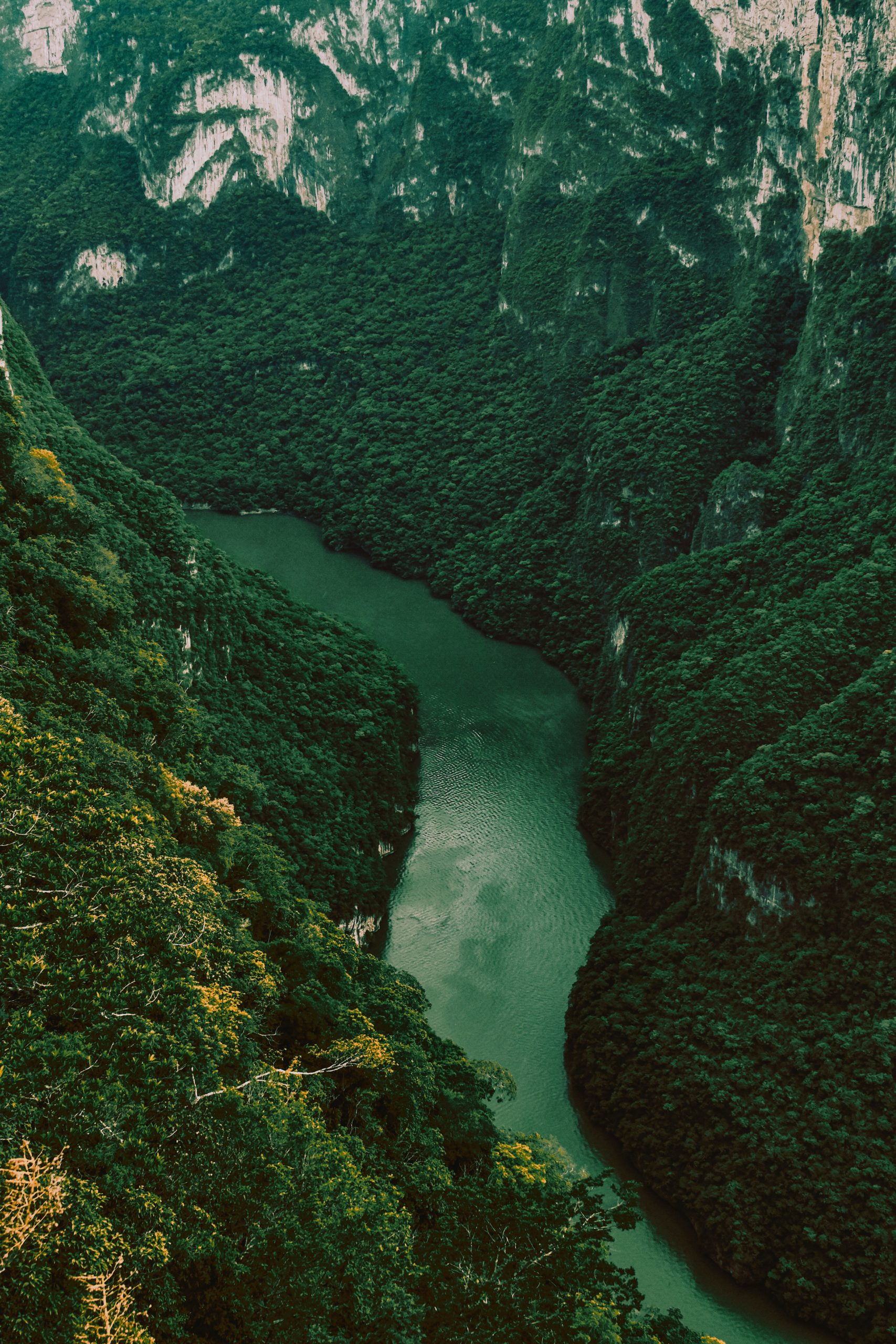 tuxtla gutierrez capital chiapas cañón sumidero