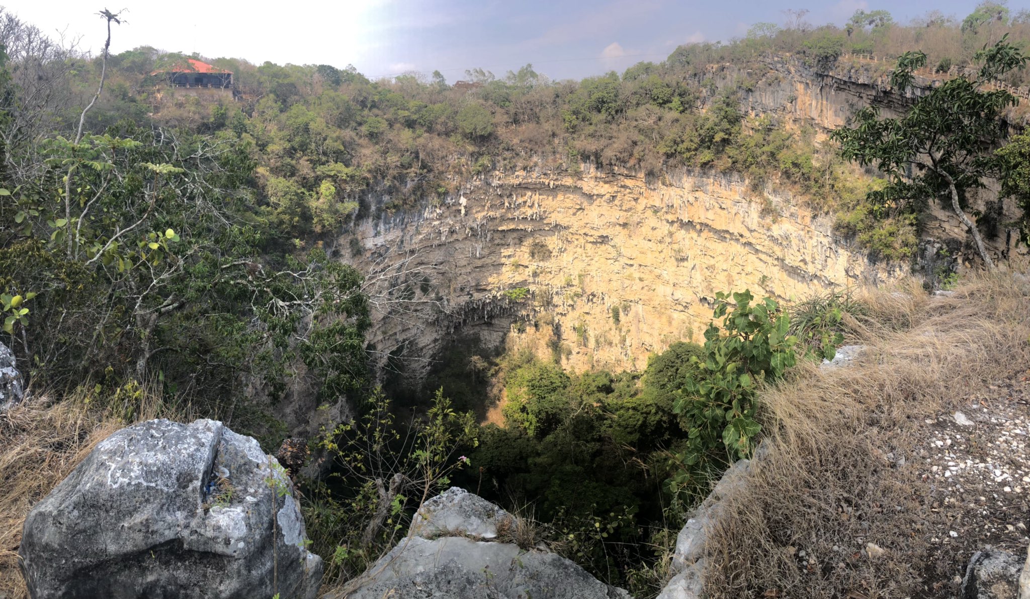 tuxtla gutierrez capital chiapas sima cotorras