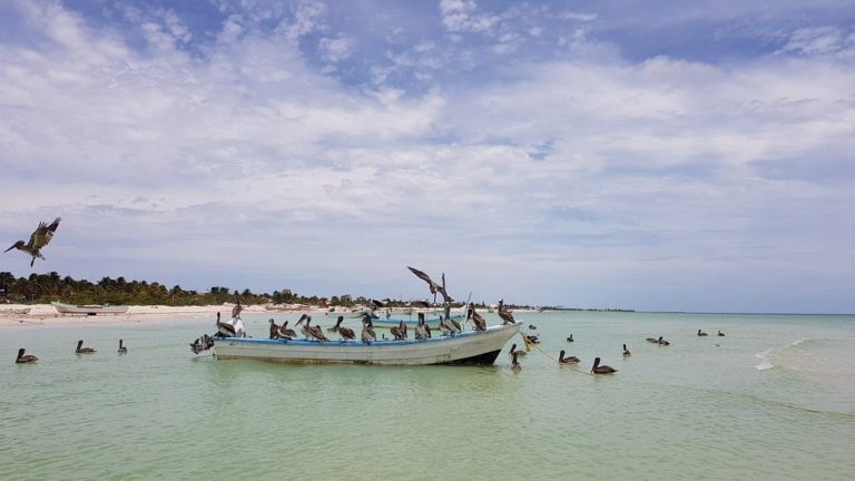 que-hacer-en-el-progreso-la-playa