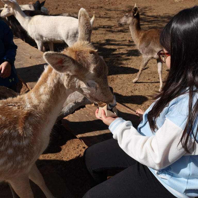 bioparque-estrella-capibaras-en-méxico