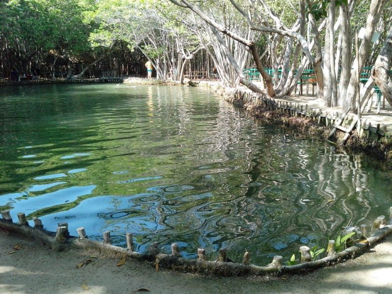 cenote-el-corchito