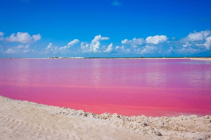 coloradas