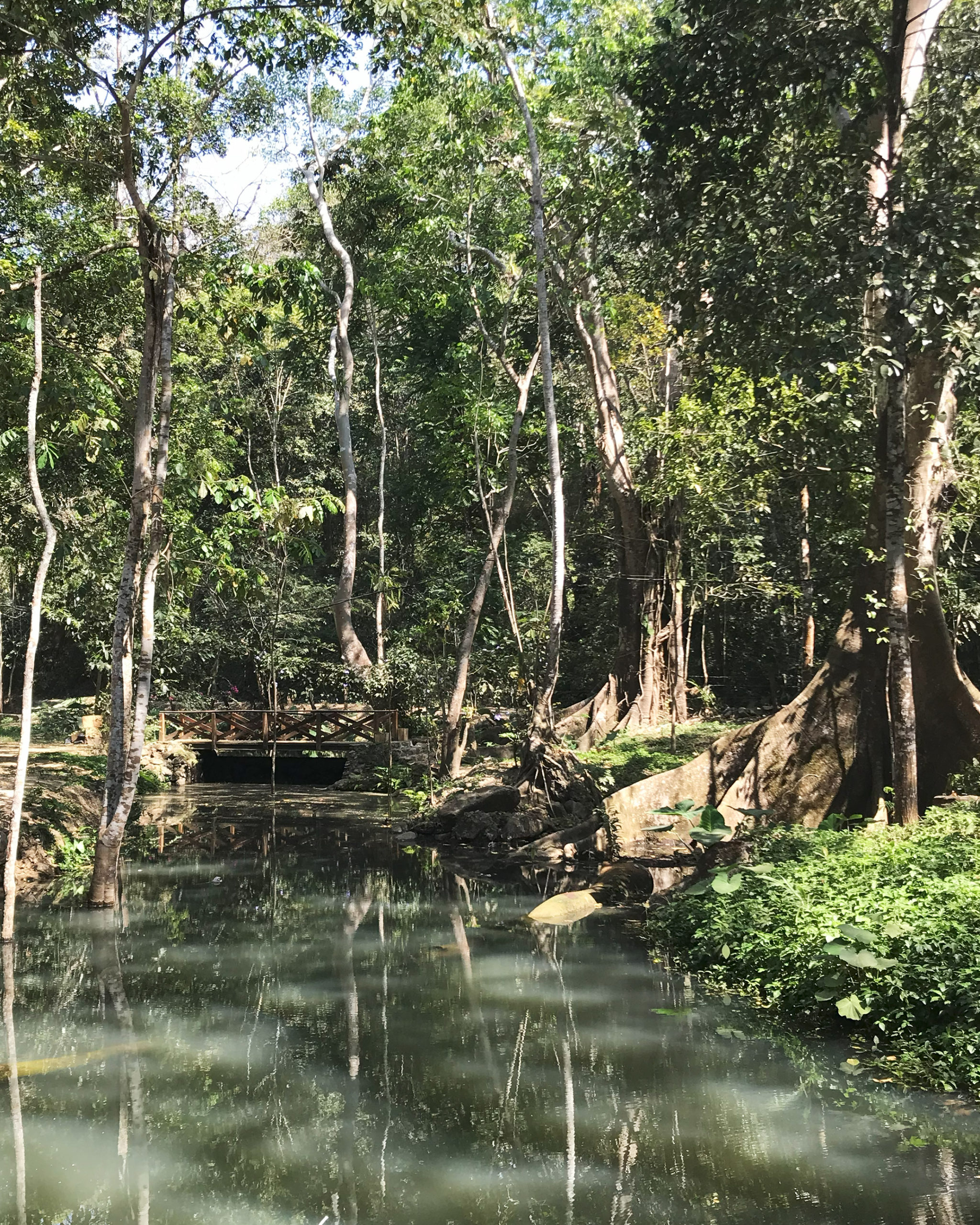 ecoturismo en colima areas naturales protegidas