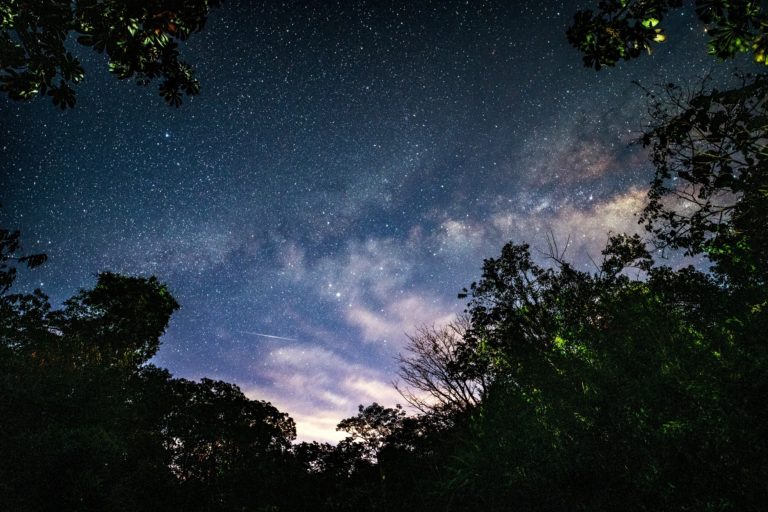 Ecoturismo en Colima: 7 áreas naturales protegidas que visitar