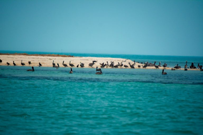 isla-pajaros-isla-aguada-pueblo-mágico