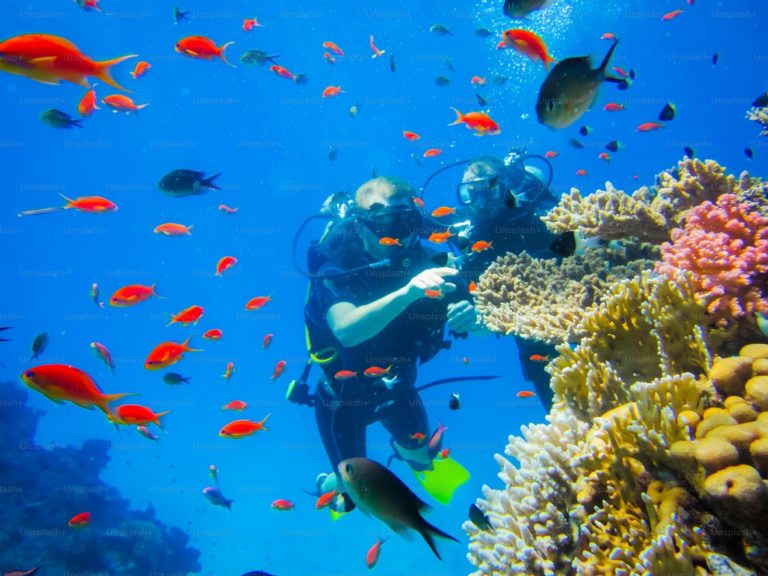 mar-rojo-buceo