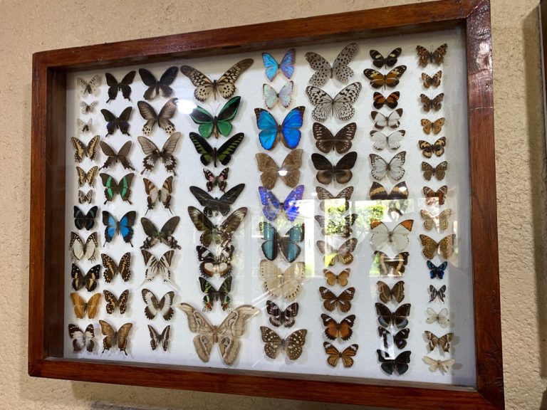 mariposario