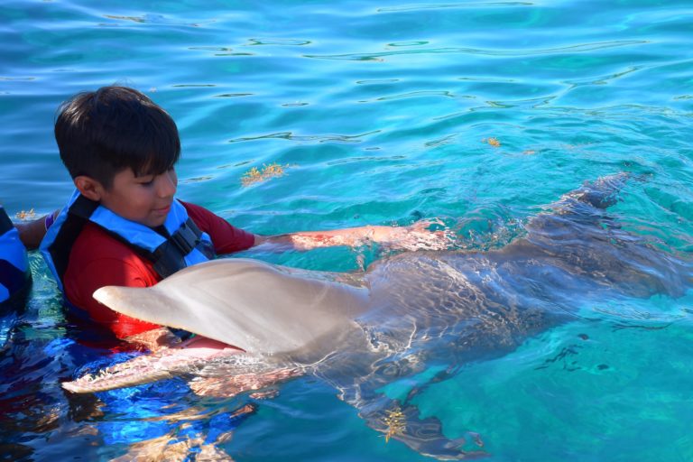 méxico-nadar-con-delfines-cozumel