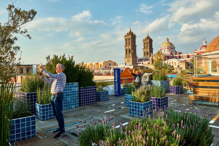 museo-amparo-la-terraza