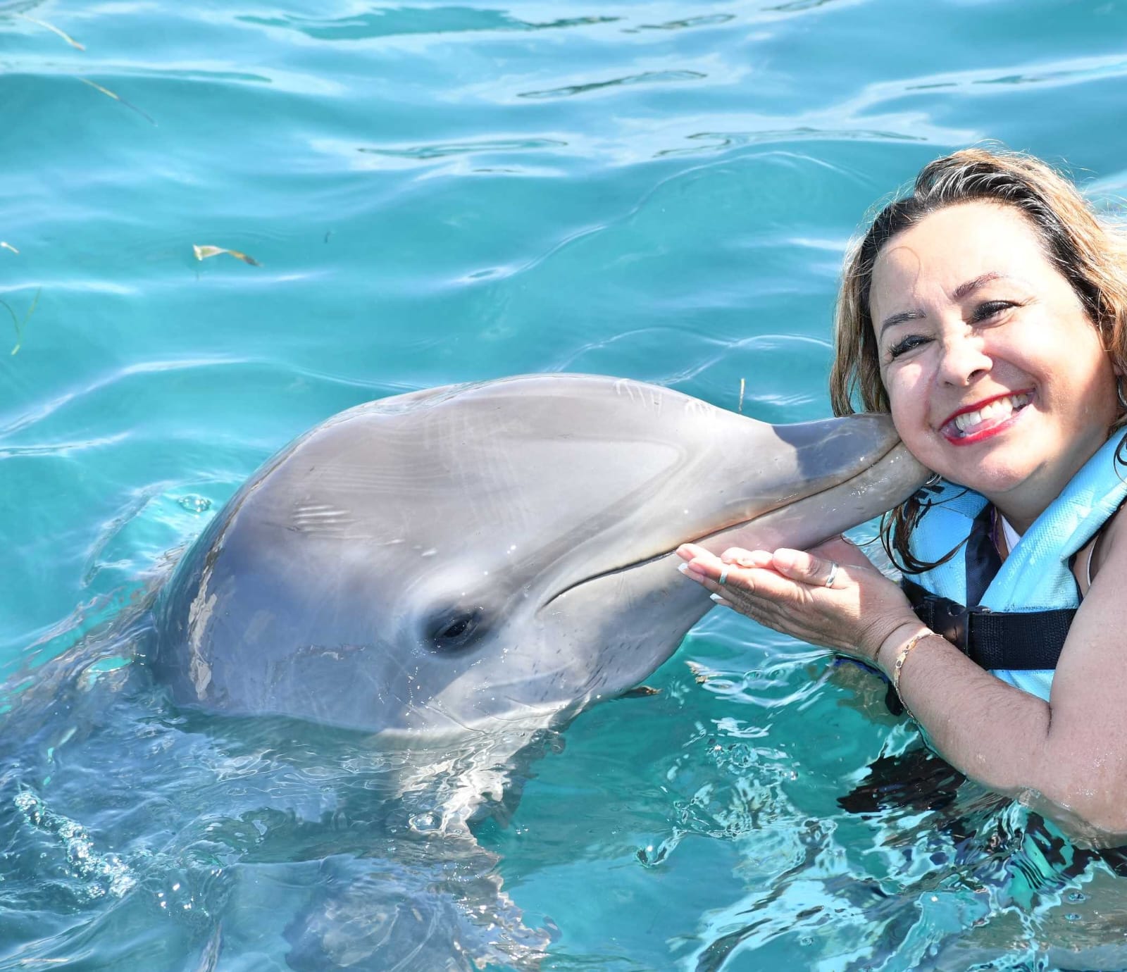 nadar con delfines isla mujeres