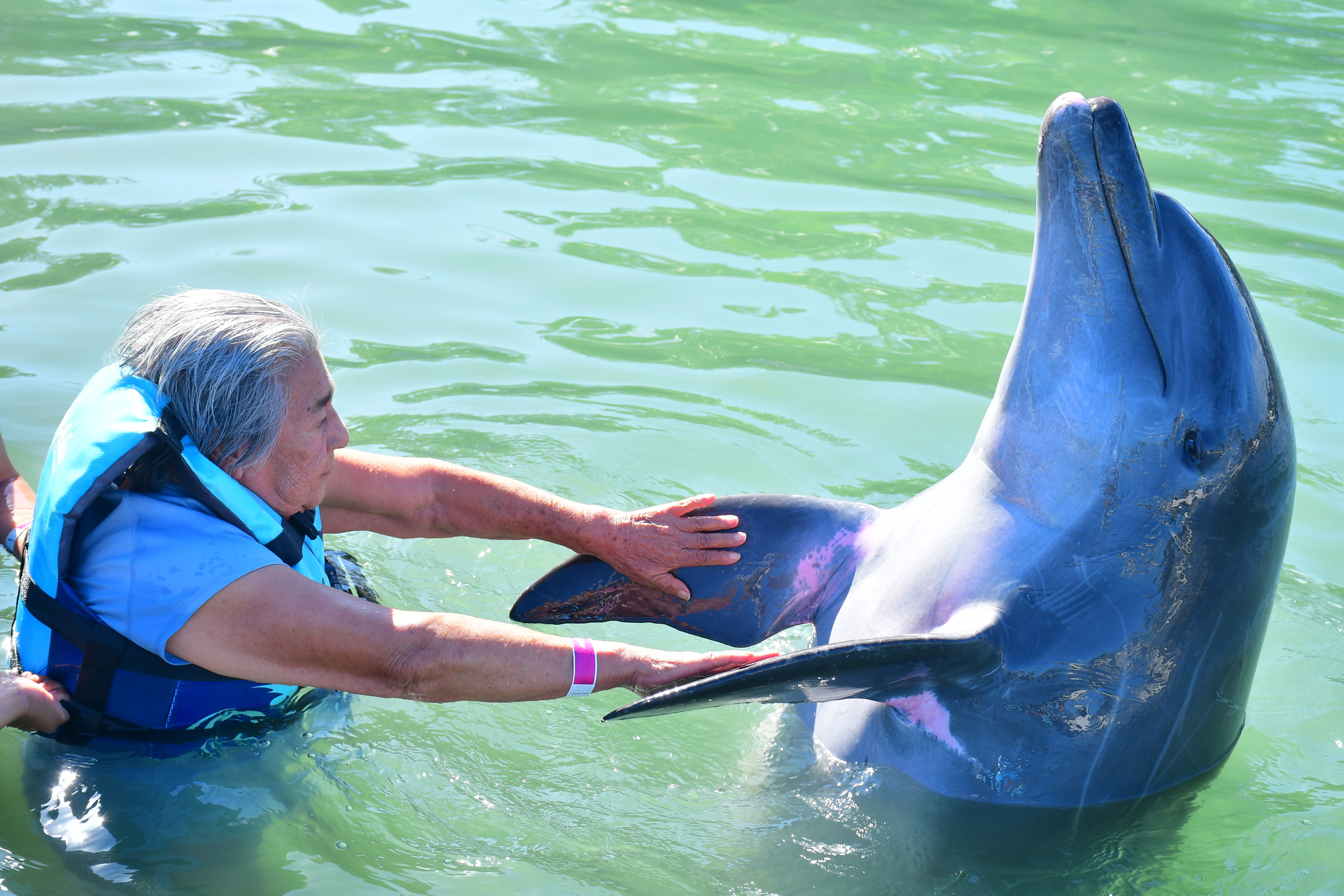 nadar con delfines los cabos