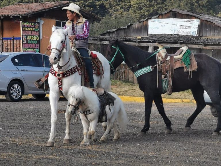 paseo-a-caballo-marquesa