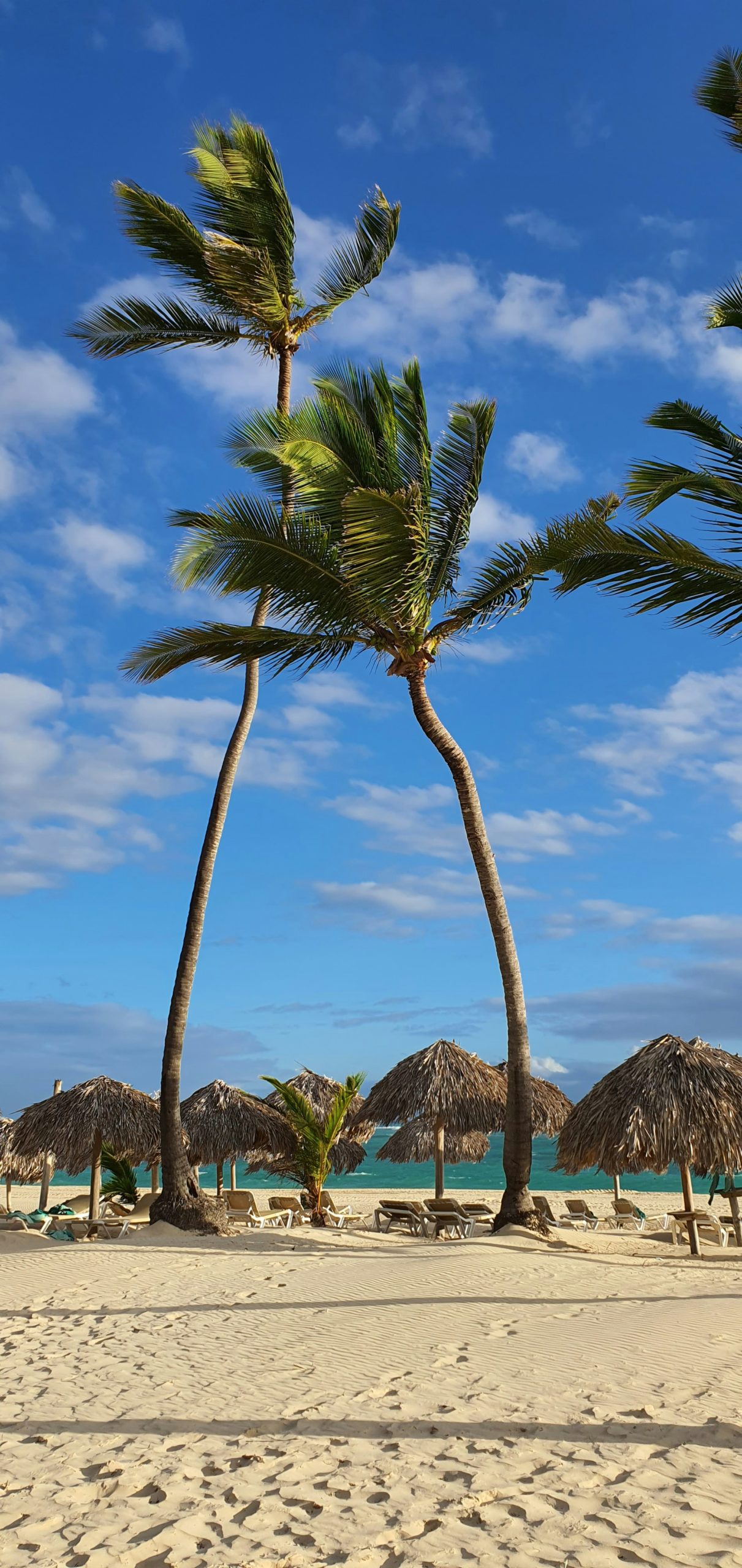 playas república dominicana ale cañedo