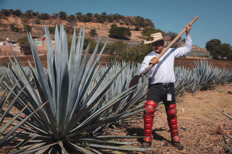 Quinta de Casa Sauza: una casona con historia tequilera