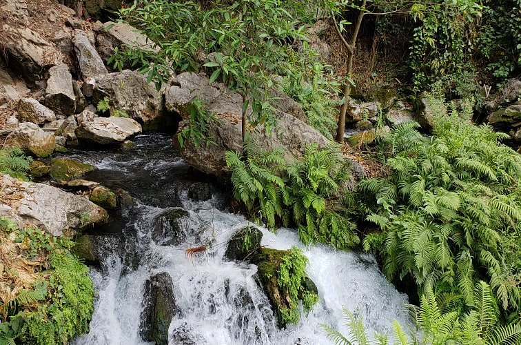 cueva-del-agua-jalpan