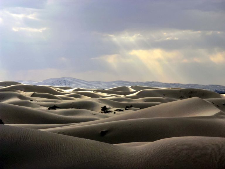 dunas-samalayuca-paraisos-en-chihuahua-ecoturismo