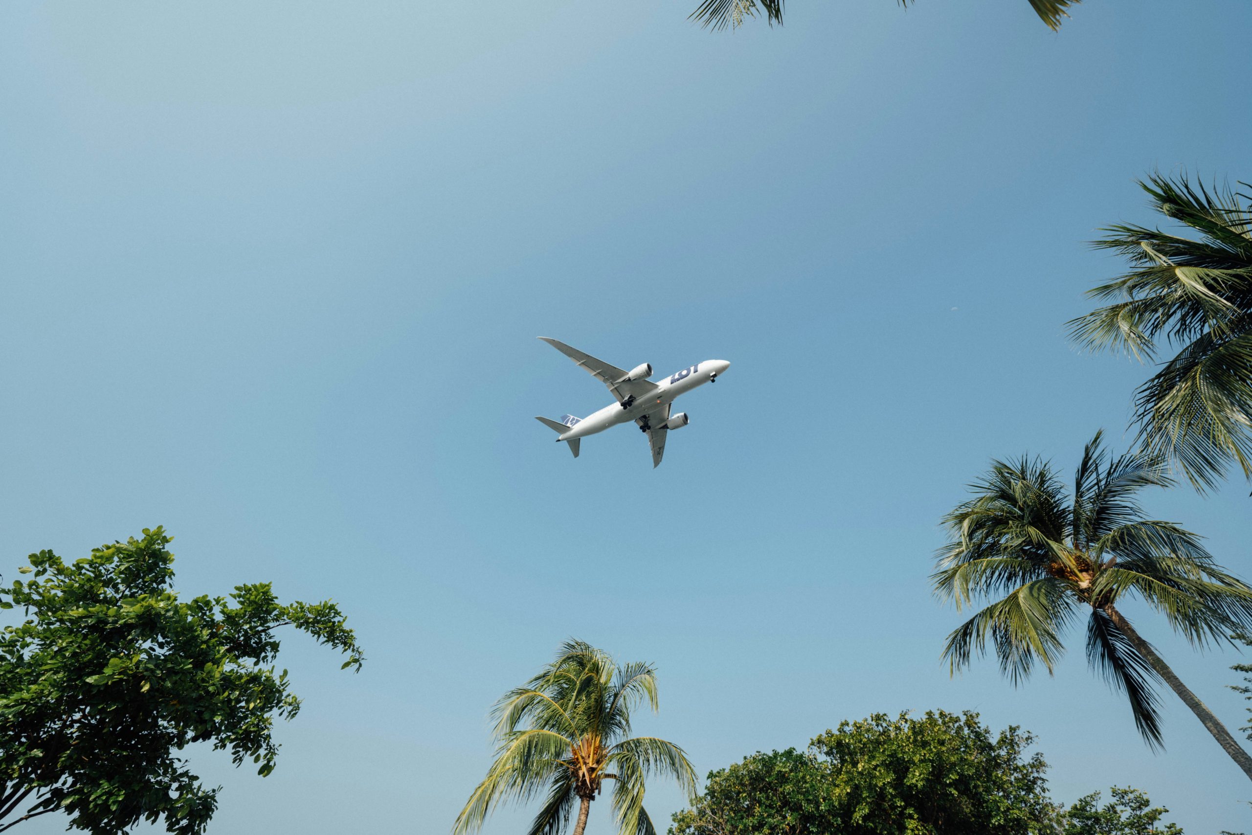 google flights recomendaciones mapa precios