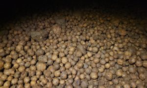 gruta de las canicas en tabasco