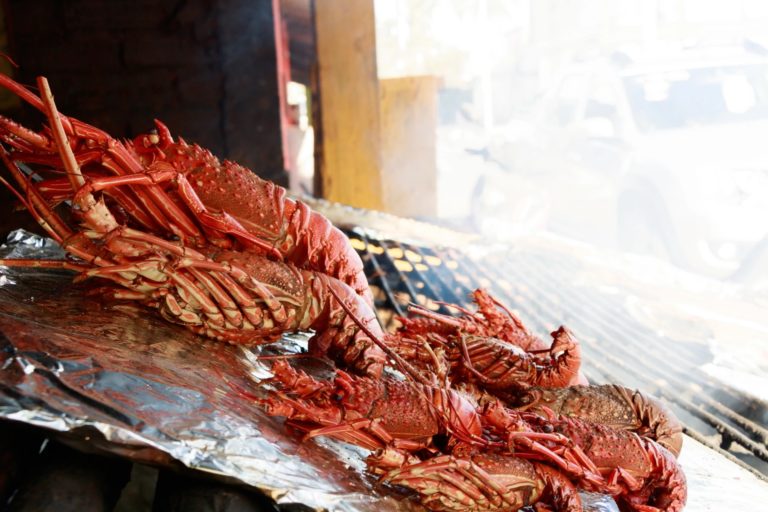 qué-comer-en-san-blas-langostinos