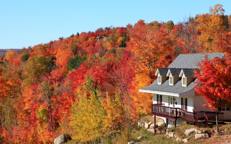 10 experiencias imperdibles en Quebec - México Ruta Mágica