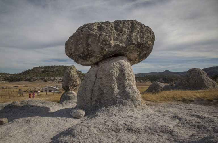 valle-de-los-hongos-chihuahua-turismo