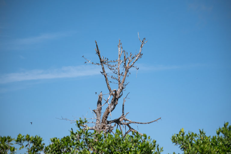 viajando-sola-costas-oaxaca-naturaleza