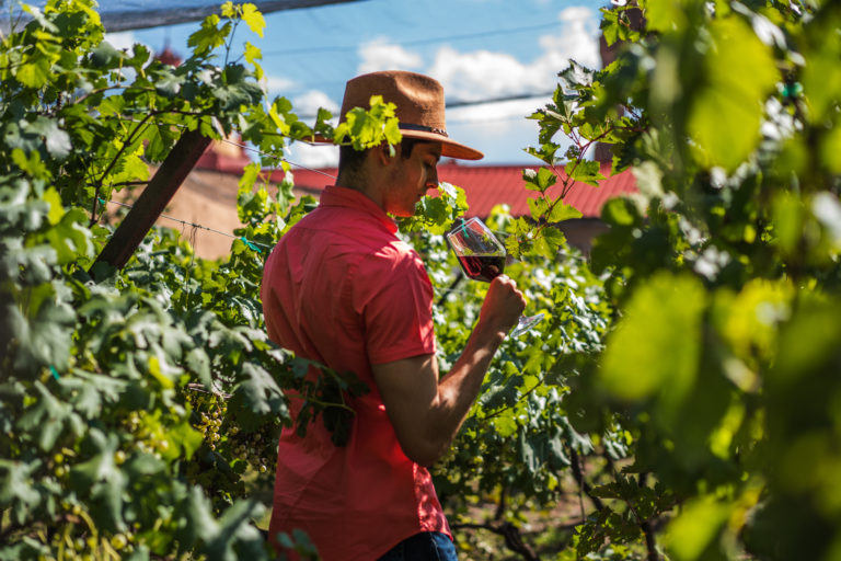 vinos-paraísos-en-chihuahua-ecoturismo