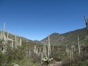 que hacer en tehuacán atractivos
