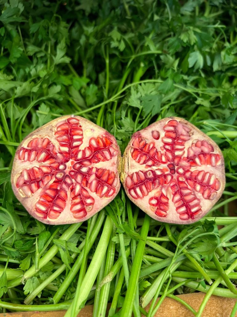 Imagen de WhatsApp 2025-07-15 a las 19.44.13_39d87957