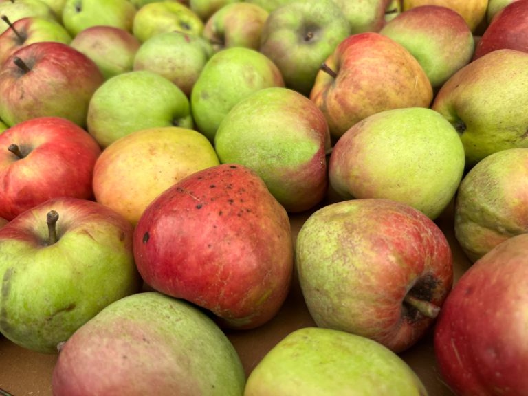 Imagen de WhatsApp 2025-07-15 a las 19.44.13_f64919e7