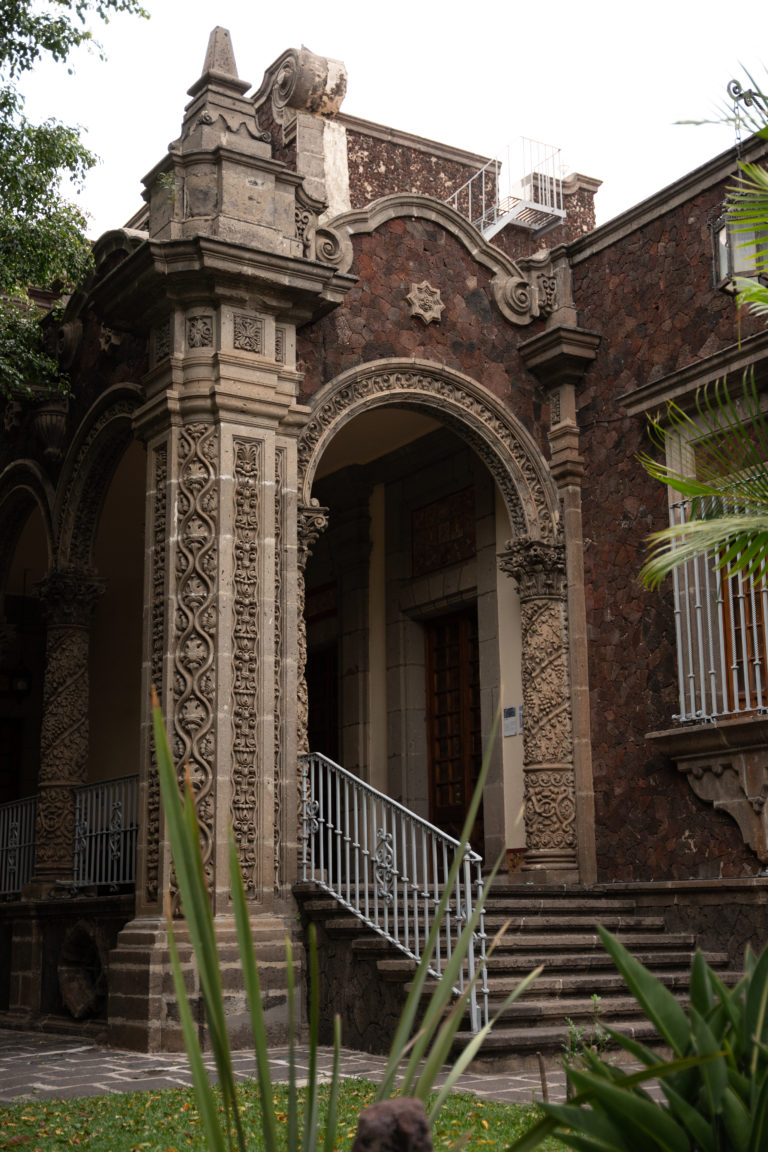 americana-pet-friendly-mexico