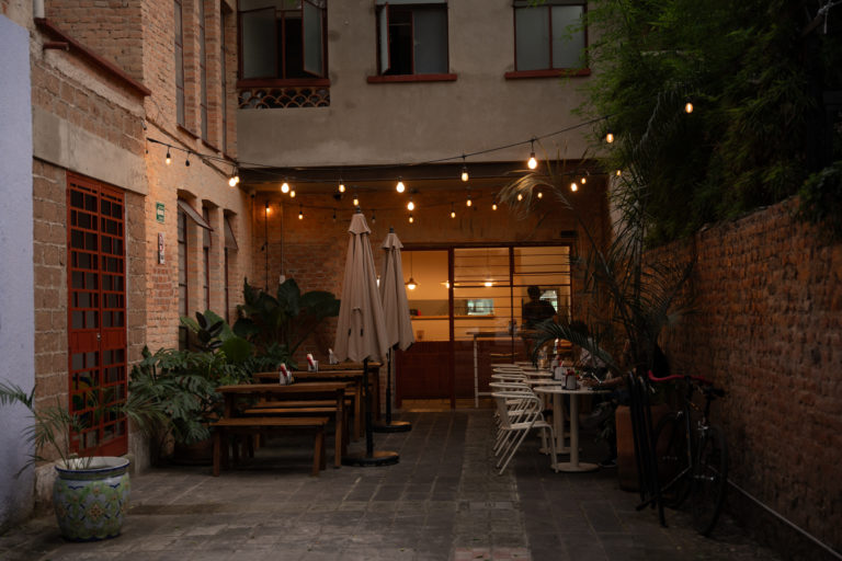 americana-pet-friendly-mx