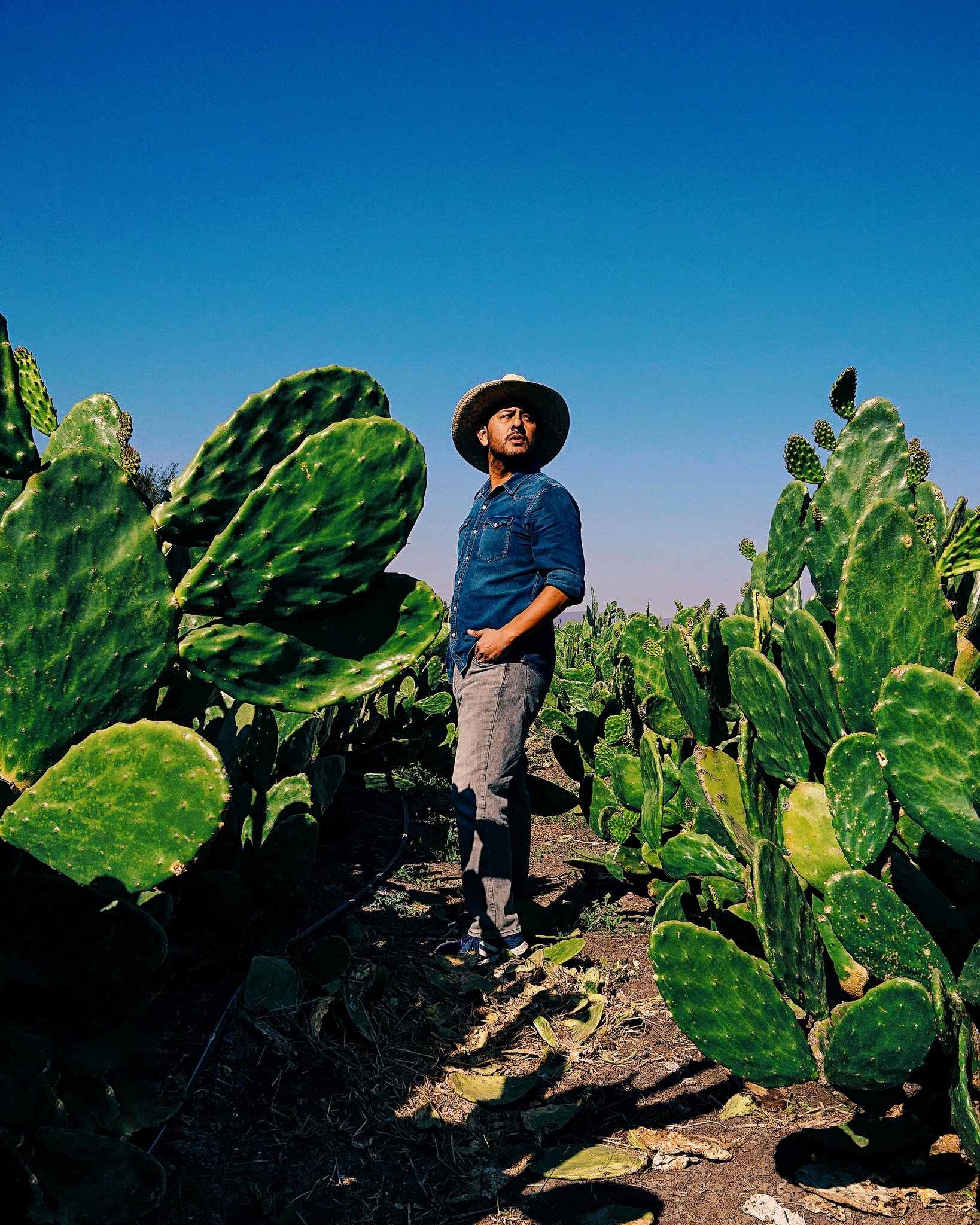circuito nopal salamanca en Guanajuato