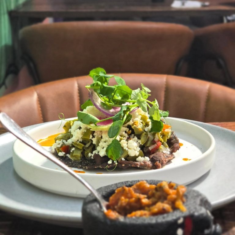 conca-gastronomia-de-mex-turismo