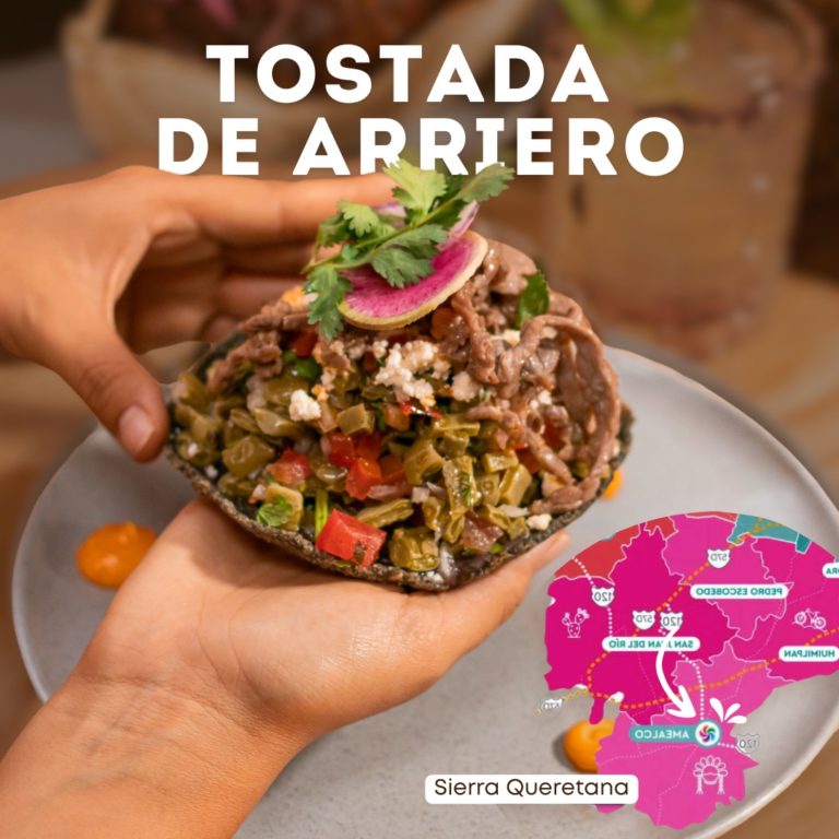 conca-gastronomia-de-mx-turismo