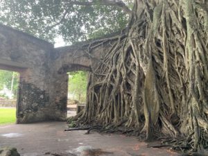la antigua veracruz historia casa